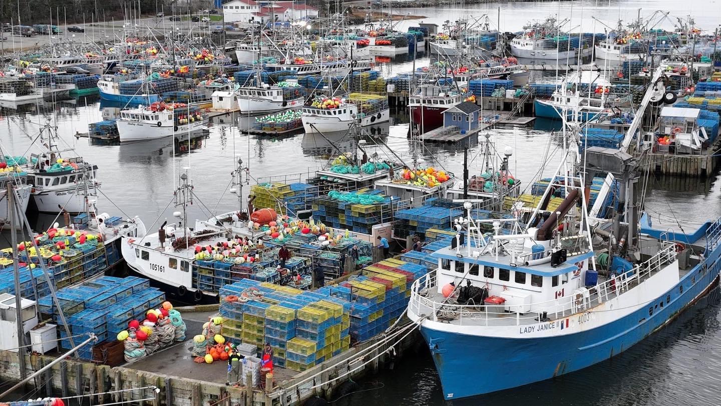Commercial fishing vessels and lobster traps in an Atlantic Canadian harbour